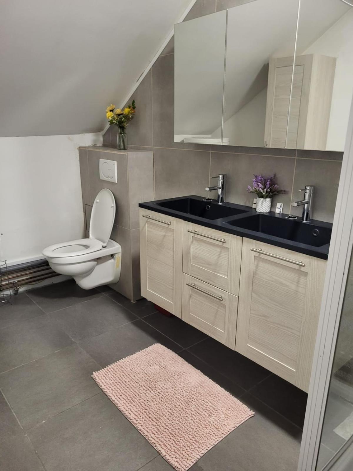 2Pas2Meuse Apartment Waulsort Bagian luar foto